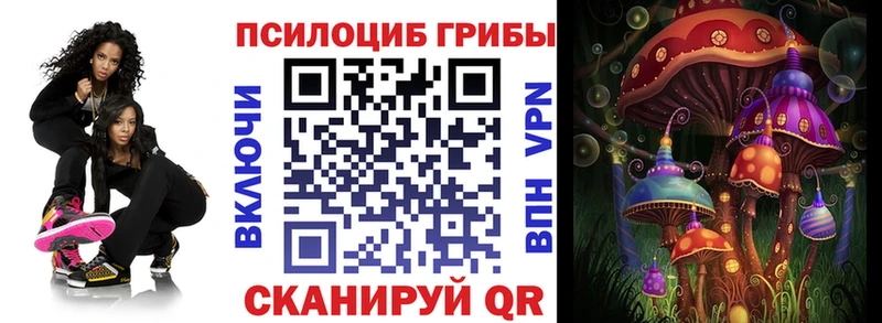 купить Барнаул Псилоцибиновые грибы Psilocybe