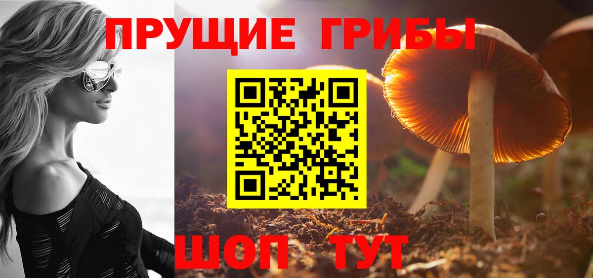 Псилоцибиновые грибы мицелий  Вход с VPN  Барнаул 
